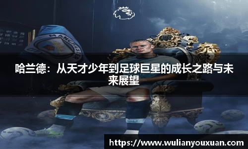 乐虎