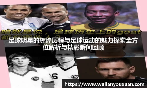 乐虎