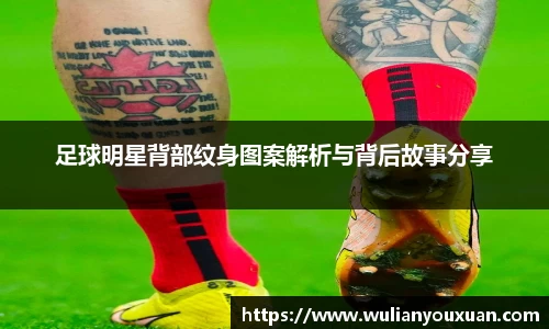 乐虎官方网站